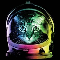 Space Cat